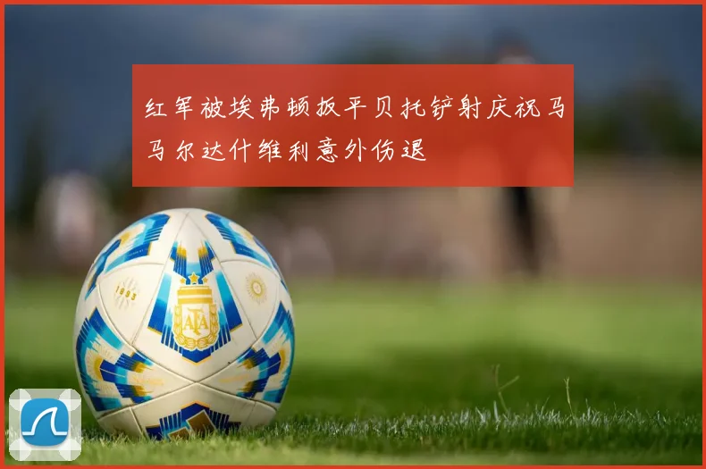 红军被埃弗顿扳平贝托铲射庆祝马马尔达什维利意外伤退