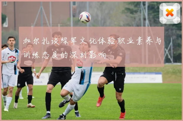 加尔扎谈绿军文化体验职业素养与训练态度的深刻影响